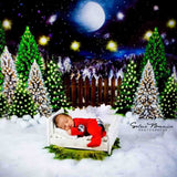 Laden Sie das Bild in den Galerie-Viewer, Fox Rolled Night Christmas Children Photos Vinyl Backdrop - Foxbackdrop