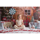 Laden Sie das Bild in den Galerie-Viewer, Fox Christmas Cabin Rolled Vinyl Photos Backdrops-Foxbackdrop