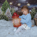 Laden Sie das Bild in den Galerie-Viewer, Fox Rolled Night Christmas Children Photos Vinyl Backdrop-Foxbackdrop