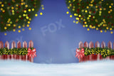 Laden Sie das Bild in den Galerie-Viewer, Fox Rolled Christmas Trees Night Shine Vinyl Backdrop - Foxbackdrop