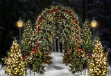 Laden Sie das Bild in den Galerie-Viewer, Fox Rolled Snow Lights Vinyl Christmas Backdrops - Foxbackdrop