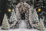 Laden Sie das Bild in den Galerie-Viewer, Fox Rolled Snow Lights Vinyl Christmas Backdrops for Photography - Foxbackdrop