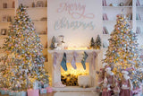 Laden Sie das Bild in den Galerie-Viewer, Fox Merry Christmas Photography Vinyl Photo Backdrop - Foxbackdrop