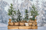 Laden Sie das Bild in den Galerie-Viewer, Fox Winter Christmas Tree Fabric/Vinyl Photography Backdrop