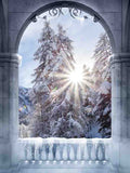 Laden Sie das Bild in den Galerie-Viewer, Fox Rolled Winter Snow Oval Door Vinyl Photo Backdrop-Foxbackdrop