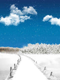 Laden Sie das Bild in den Galerie-Viewer, Fox Rolled Winter Snow Bridge Vinyl Photography Backdrop-Foxbackdrop