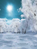 Laden Sie das Bild in den Galerie-Viewer, Fox Rolled Winter Outdoor Snow Trees Vinyl Backdrop-Foxbackdrop