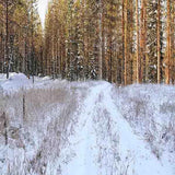 Laden Sie das Bild in den Galerie-Viewer, Fox Rolled Winter Snow Forest Vinyl Photo Backdrop-Foxbackdrop