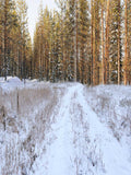 Laden Sie das Bild in den Galerie-Viewer, Fox Rolled Winter Snow Forest Vinyl Photo Backdrop-Foxbackdrop