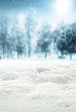 Laden Sie das Bild in den Galerie-Viewer, Fox Rolled Winter Snow Land Vinyl Photo Backdrops-Foxbackdrop