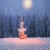 Laden Sie das Bild in den Galerie-Viewer, Fox Rolled Winter Snow Cedar Forest Vinyl Backdrop-Foxbackdrop