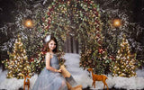 Laden Sie das Bild in den Galerie-Viewer, Fox Snow Lights Fabric/Vinyl Christmas Backdrops