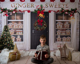 Laden Sie das Bild in den Galerie-Viewer, Fox Christmas Ginger Sweets Fabric/Vinyl Backdrop Designed by JT photography