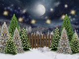 Laden Sie das Bild in den Galerie-Viewer, Fox Rolled Night Christmas Children Photos Vinyl Backdrop - Foxbackdrop