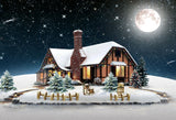 Laden Sie das Bild in den Galerie-Viewer, Fox Christmas Snow House Night Moon Vinyl Backdrop - Foxbackdrop