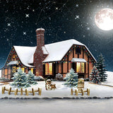 Laden Sie das Bild in den Galerie-Viewer, Fox Christmas Snow House Night Moon Vinyl Backdrop - Foxbackdrop