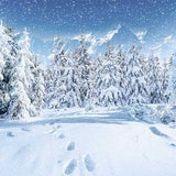 Laden Sie das Bild in den Galerie-Viewer, Fox Rolled Outdoor Winter Snow Vinyl Photography Backdrop-Foxbackdrop