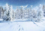 Laden Sie das Bild in den Galerie-Viewer, Fox Rolled Outdoor Winter Snow Vinyl Photography Backdrop-Foxbackdrop