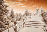 Laden Sie das Bild in den Galerie-Viewer, Fox Rolled Winter Snow Bridge Trees Vinyl Backdrop-Foxbackdrop