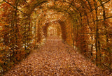 Laden Sie das Bild in den Galerie-Viewer, Fox Rolled Autumn Yellow Leaves Road Vinyl Backdrop-Foxbackdrop