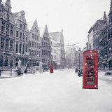 Laden Sie das Bild in den Galerie-Viewer, Fox Rolled Winter Snow Avenue Building Vinyl Backdrops-Foxbackdrop