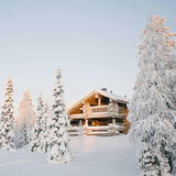 Laden Sie das Bild in den Galerie-Viewer, Fox Rolled Winter Snow Cabin Vinyl Photography Backdrop-Foxbackdrop