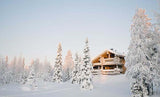 Laden Sie das Bild in den Galerie-Viewer, Fox Rolled Winter Snow Cabin Vinyl Photography Backdrop-Foxbackdrop