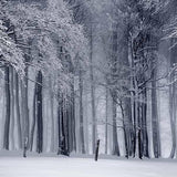 Laden Sie das Bild in den Galerie-Viewer, Fox Rolled Vinyl Winter Snow Vinyl Forest Photo Backdrop-Foxbackdrop