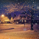 Laden Sie das Bild in den Galerie-Viewer, Fox Rolled Vinyl Winter Night Snow Light Vinyl Backdrop-Foxbackdrop