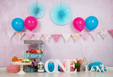 Laden Sie das Bild in den Galerie-Viewer, Fox Rolled Children Birthday Cake Smash Vinyl Backdrop-Foxbackdrop