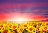 Laden Sie das Bild in den Galerie-Viewer, Fox Rolled Sunflowers Sunshine Vinyl Photography Backdrop-Foxbackdrop