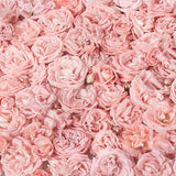 Laden Sie das Bild in den Galerie-Viewer, Fox Roll Pink Flowers Thick Vinyl Backdrops-Foxbackdrop