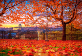 Laden Sie das Bild in den Galerie-Viewer, Fox Roll Red Maple Leaves Autumn Thick Vinyl Backdrops-Foxbackdrop