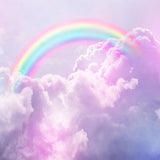 Laden Sie das Bild in den Galerie-Viewer, Fox Cloud with Rainbow Vinyl Backdrop-Foxbackdrop