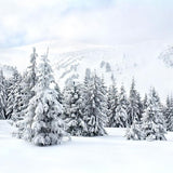 Laden Sie das Bild in den Galerie-Viewer, Fox Rolled Winter Snow Trees Vinyl Photography Backdrop-Foxbackdrop