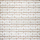 Laden Sie das Bild in den Galerie-Viewer, Fox Retro White Brick Wall Vinyl Photography Backdrop-Foxbackdrop