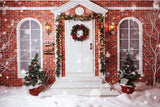 Laden Sie das Bild in den Galerie-Viewer, Fox Christmas House Door Snow Fabric/Vinyl Photoshoot Backdrop