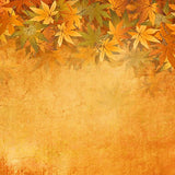 Laden Sie das Bild in den Galerie-Viewer, Fox Autumn Yellow Leaves Vinyl Photos Backdrop-Foxbackdrop