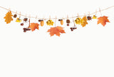 Laden Sie das Bild in den Galerie-Viewer, Fox Beige Autumn Leaves Vinyl Photography Backdrops-Foxbackdrop