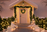 Laden Sie das Bild in den Galerie-Viewer, Fox Night Christmas Lights Outdoor Vinyl Backdrops-Foxbackdrop