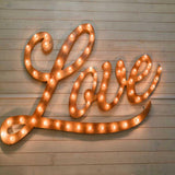 Laden Sie das Bild in den Galerie-Viewer, Fox Rolled Vinyl Love Lights Valentine Photography Backdrop-Foxbackdrop