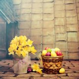 Laden Sie das Bild in den Galerie-Viewer, Fox Rolled Eggs Vinyl Easter Photography Backdrops-Foxbackdrop