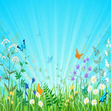 Laden Sie das Bild in den Galerie-Viewer, Fox Rolled Spring Grass Butterfly Vinyl Photo Backdrop-Foxbackdrop