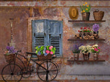 Laden Sie das Bild in den Galerie-Viewer, Fox Rolled Retro Rust Bike Flowers Vinyl Spring Backdrop-Foxbackdrop