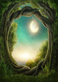 Laden Sie das Bild in den Galerie-Viewer, Fox Jungle Forest River Moon Vinyl Photos Backdrop-Foxbackdrop