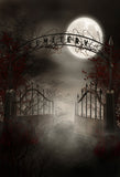 Laden Sie das Bild in den Galerie-Viewer, Fox Halloween Horrible Night Moon Metal Door Vinyl Backdrop-Foxbackdrop