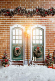 Laden Sie das Bild in den Galerie-Viewer, Fox Rolled Snow Outdoor Christmas Vinyl Backdrops-Foxbackdrop